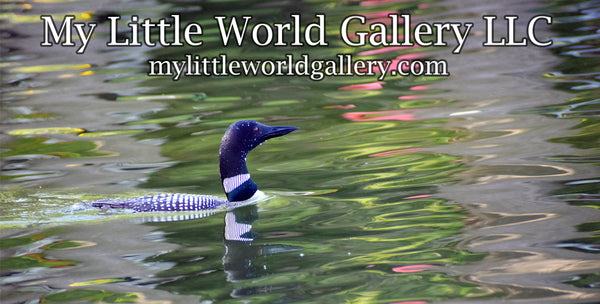 My Little World Gallery LLC logo