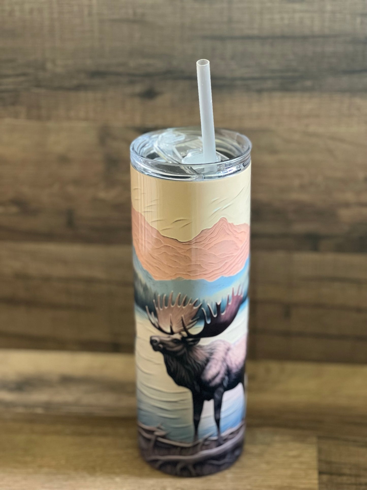 Stainless Steel Skinny Tumblers - 20 oz