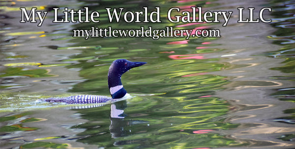 My Little World Gallery LLC